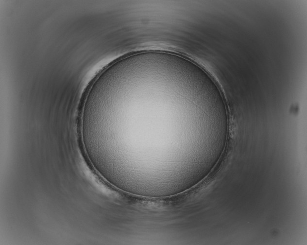 X0000111490995200907281222