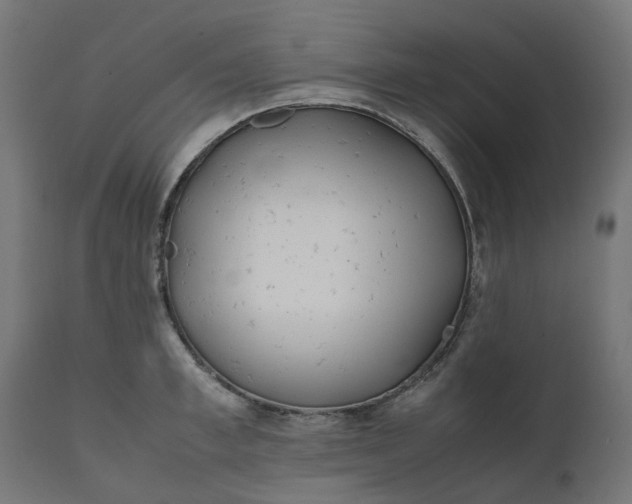 X0000111490997200907281222