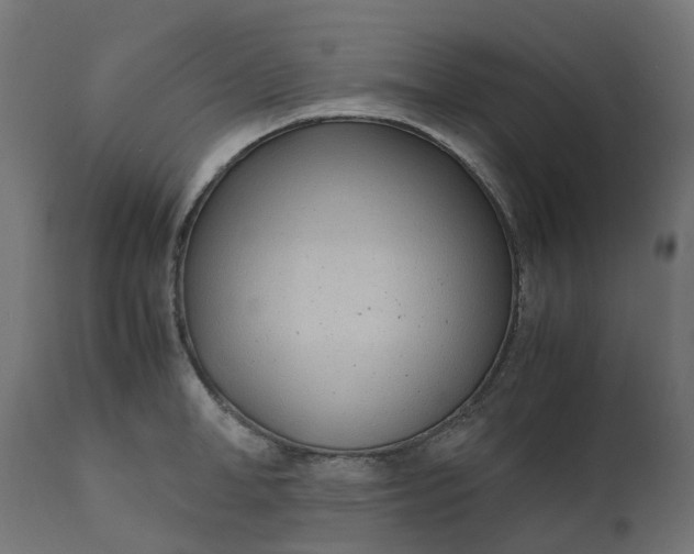 X0000111490998200907281222