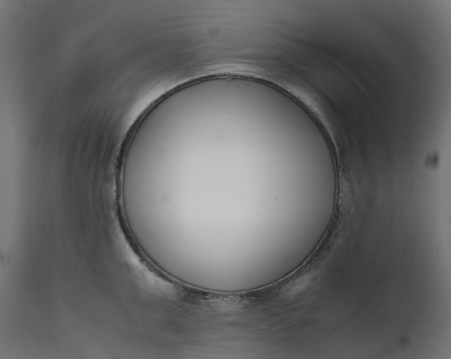 X0000111490999200907281222