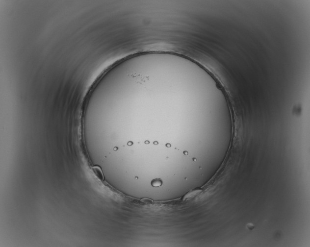 X0000111491000200907281222