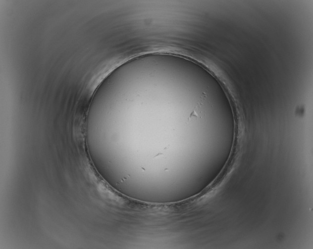 X0000111491001200907281222