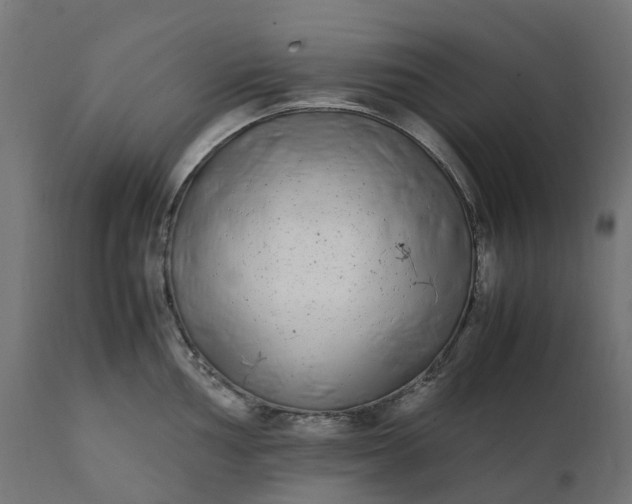 X0000111491002200907281222