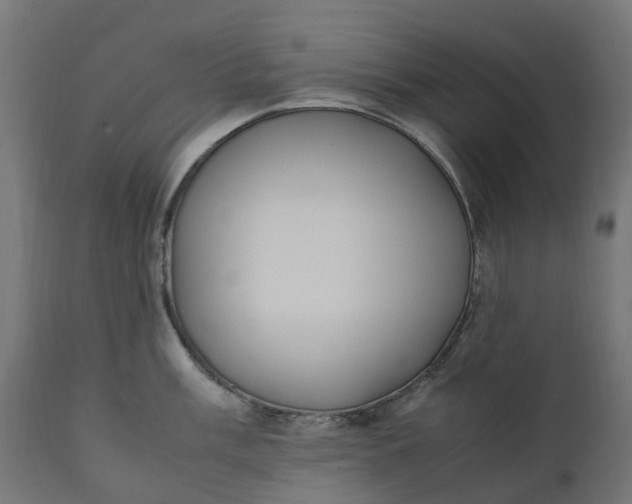 X0000111491003200907281222