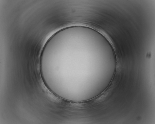 X0000111491004200907281222