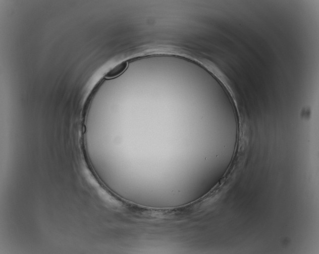 X0000111491005200907281222