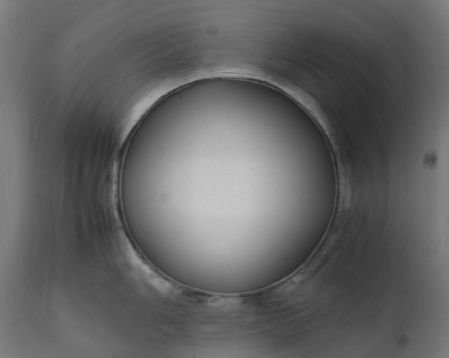 X0000111491006200907281222