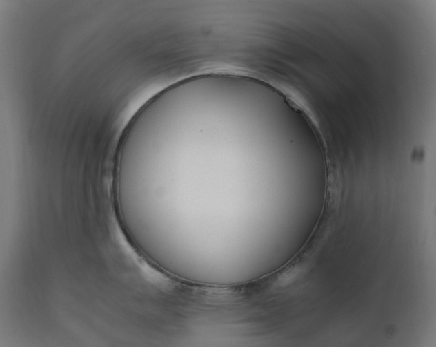 X0000111491007200907281222