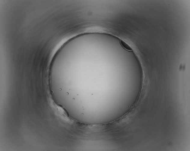 X0000111491008200907281222