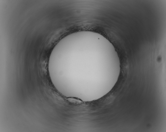 X0000111491010200907281221