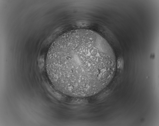 X0000111491011200907281221