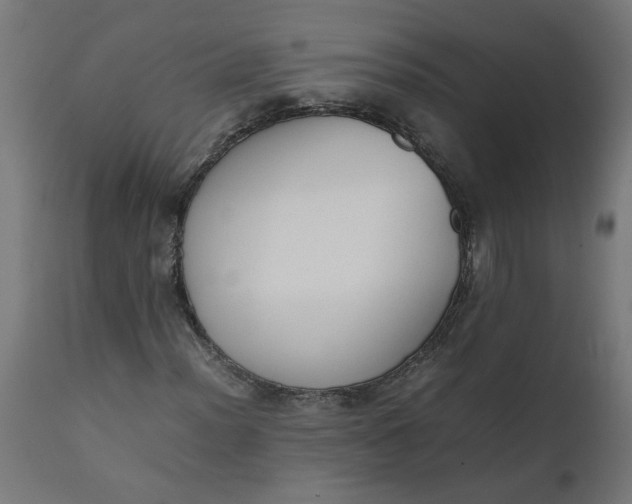 X0000111491012200907281221