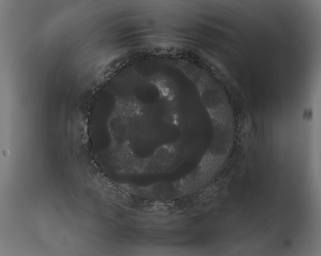 X0000111491013200907281221