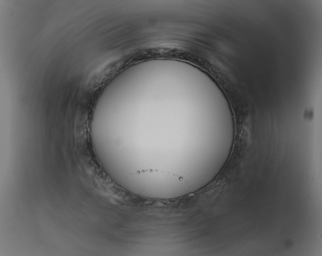 X0000111491014200907281221