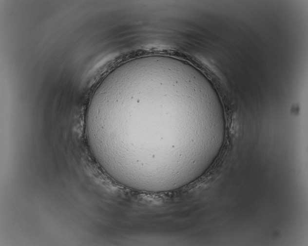 X0000111491015200907281221