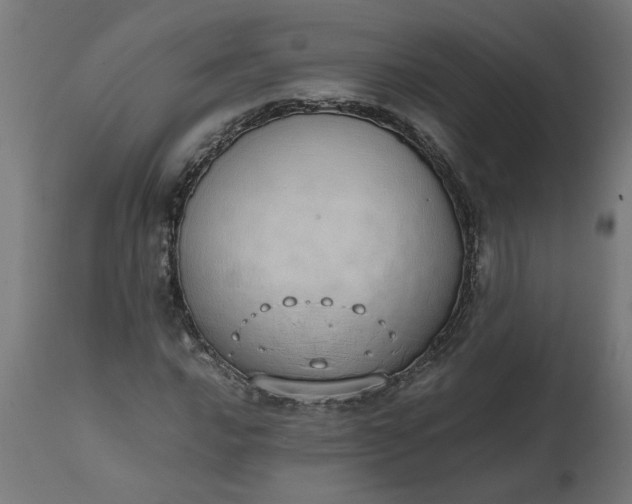 X0000111491016200907281221