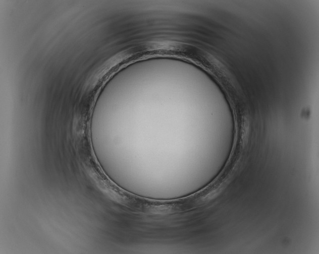 X0000111491017200907281221