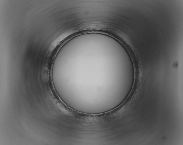 X0000111491018200907281221