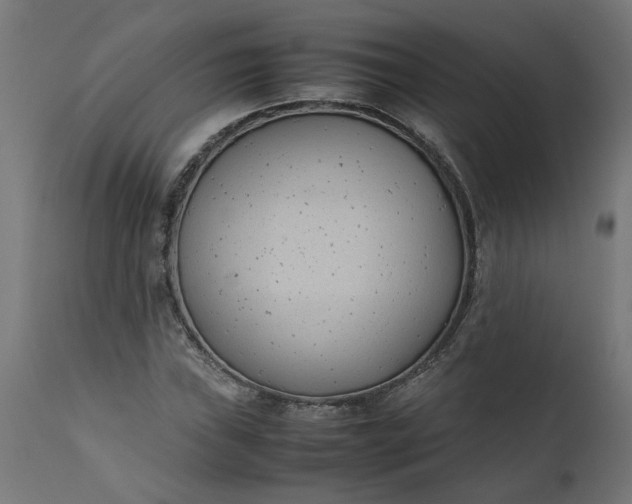 X0000111491019200907281221