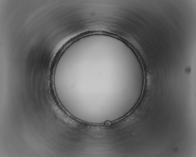 X0000111491020200907281221