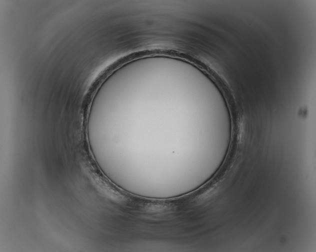 X0000111491021200907281221