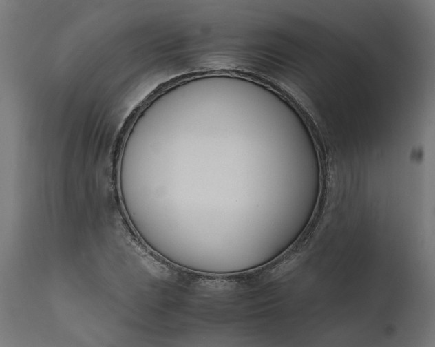 X0000111491023200907281221