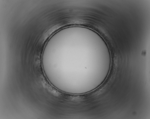 X0000111491025200907281221