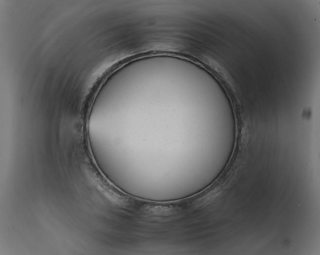 X0000111491027200907281222