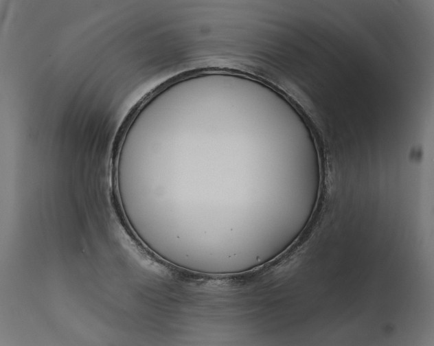 X0000111491028200907281222