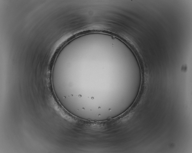 X0000111491029200907281222