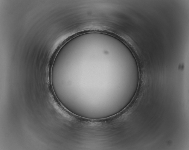 X0000111491030200907281222