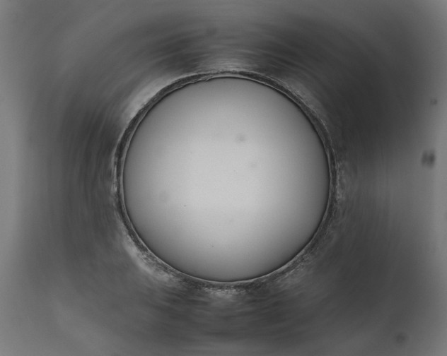 X0000111491031200907281222