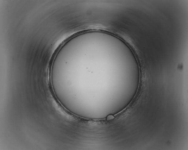 X0000111491032200907281222