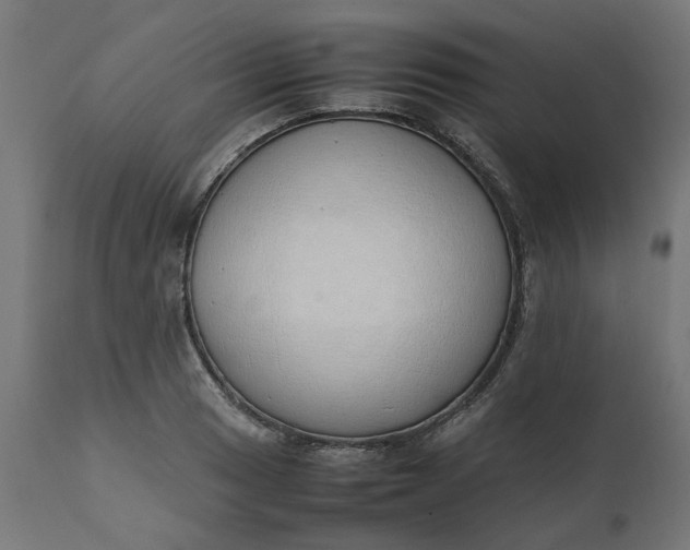 X0000111491033200907281222