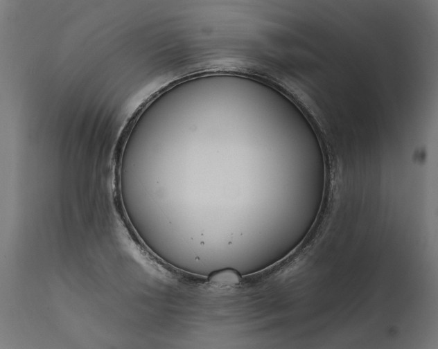 X0000111491034200907281222