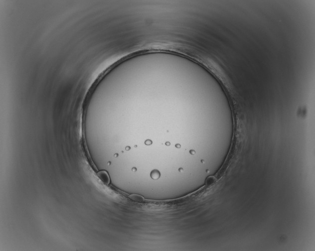 X0000111491036200907281222