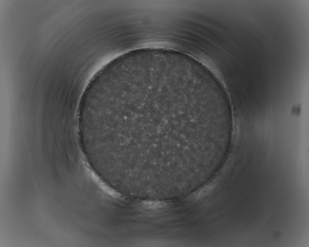 X0000111491037200907281222