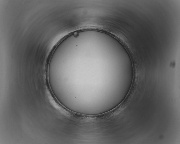 X0000111491038200907281222