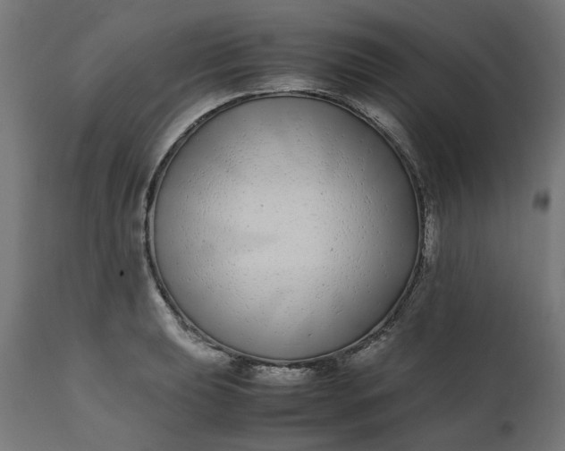 X0000111491039200907281222