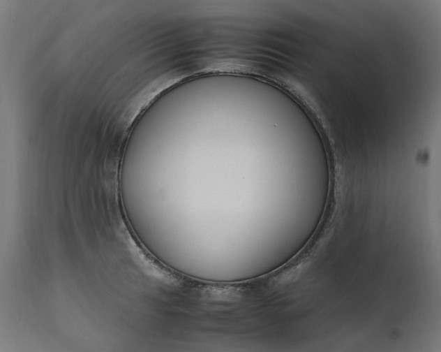 X0000111491041200907281222