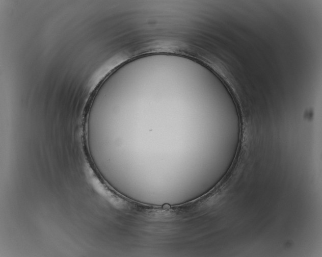 X0000111491042200907281222