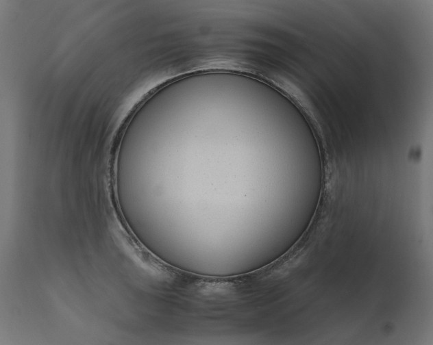 X0000111491043200907281222