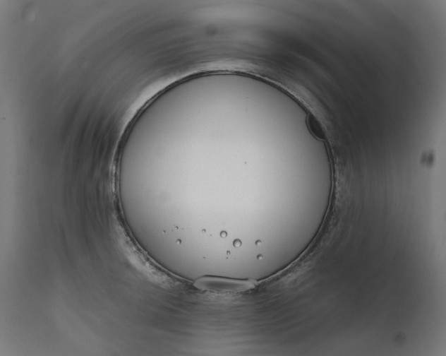 X0000111491044200907281222