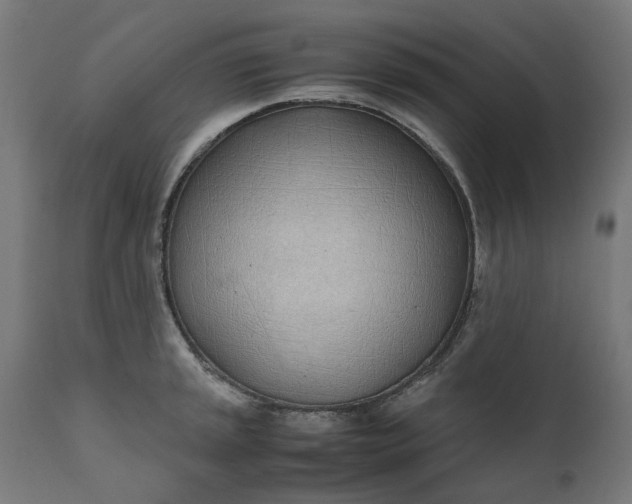 X0000111491045200907281222