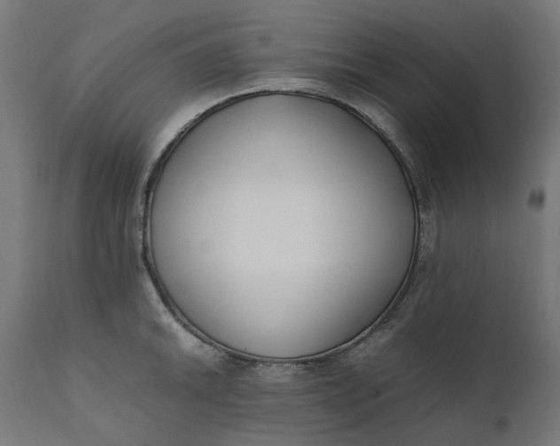 X0000111491046200907281222