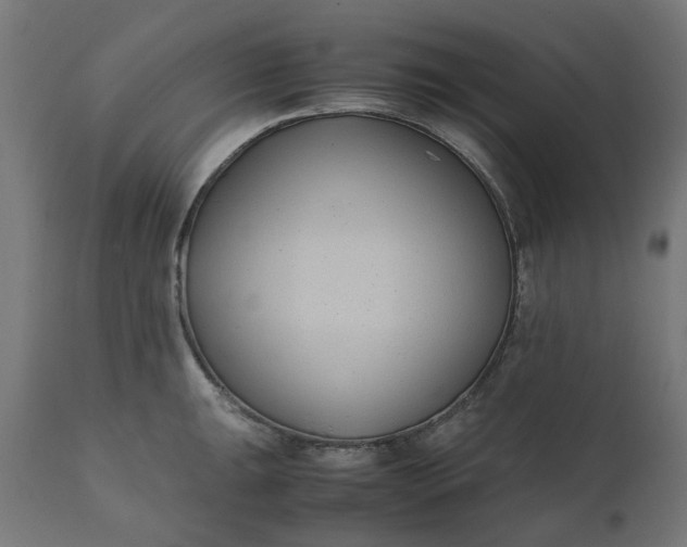 X0000111491047200907281222