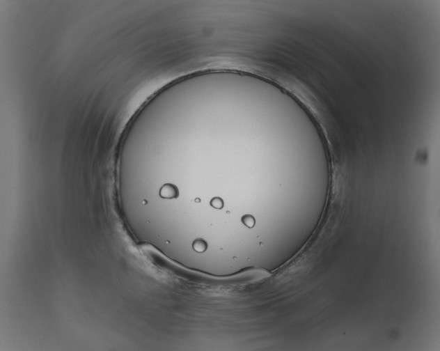 X0000111491048200907281222