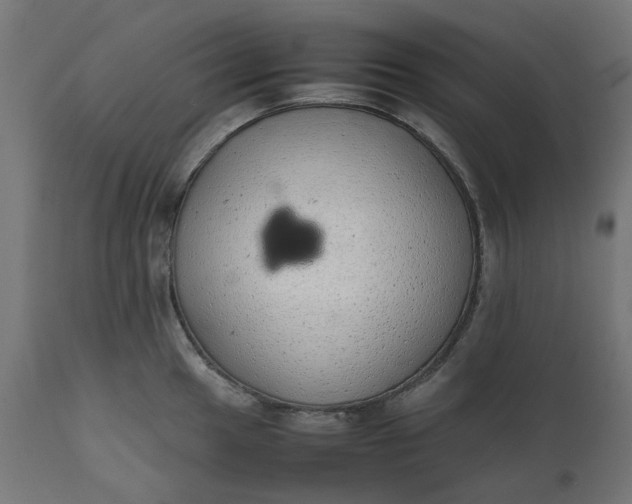 X0000111491049200907281222