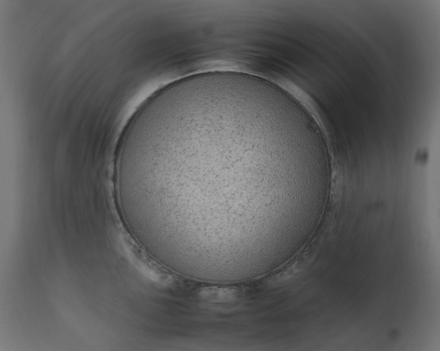 X0000111491051200907281222