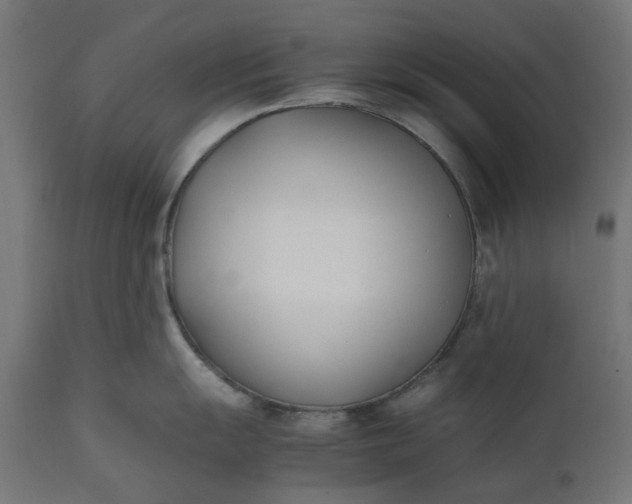 X0000111491055200907281222